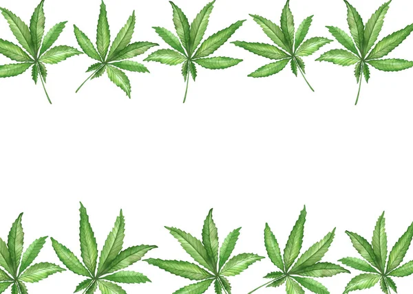 水彩画手绘自然草本植物横幅构图用绿色大麻叶隔离在枝干上的白色背景 用来邀请和问候带有文字空间的卡片 — 图库照片
