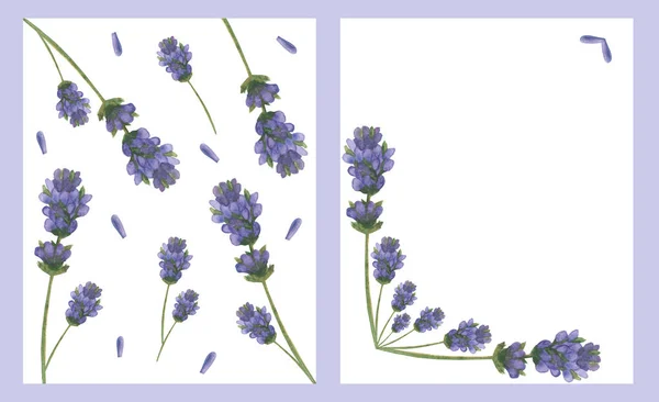 Watercolor Hand Painted Nature Floral Two Frames Composition Purple Lilac — 스톡 사진