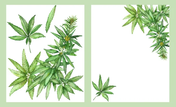 Watercolor hand painted nature herbal two frame composition with green hemp leaves on branch with yellow blossom flower on the white background for invitation and greeting card with the space for text
