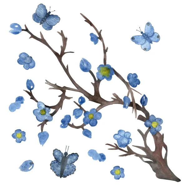 春のデザイン要素とカードのための白い背景に茶色の木 青い花や蝶と水彩手描きの自然ロマンチックな花の組成物 — ストック写真