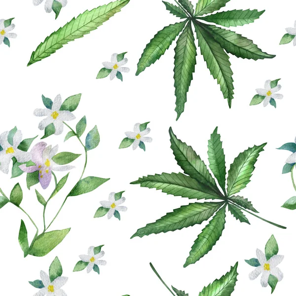 Watercolor hand painted nature floral spices seamless pattern with green herbal hemp plant and white bergamot blossom flowers on the branches with leaves isolated on the white background