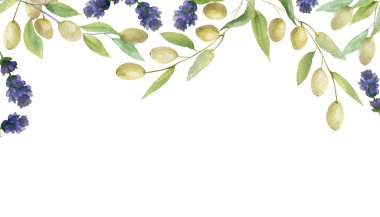 Suluboya el boyası, mor lavanta çiçekleri ve beyaz arka planda yaprakları olan yeşil zeytin dalları ile doğayı boyayan jartiyer sancak çerçevesi davetiye ve metin için yeri olan tebrik kartı