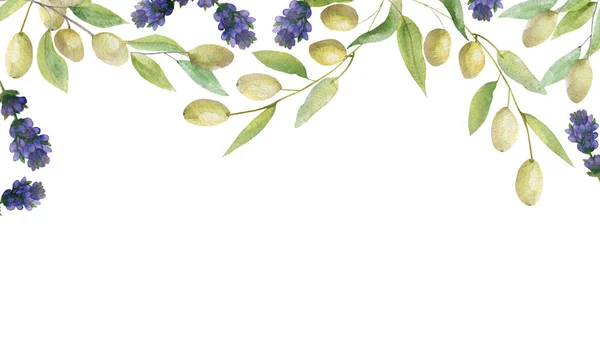 紫色のラベンダーの花と緑のオリーブの枝が白い背景に葉を持つ水彩手描きの自然庭のバナーフレームテキストのためのスペースを招待し グリーティングカード — ストック写真