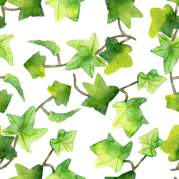 Watercolor Hand Painted Nature Seamless Pattern Green Loach Leaves Brown — 스톡 사진