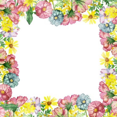 Suluboya el, doğanın karesini pembe akasya, Arnica, pelin otu, mavi papatya, sarı karahindiba çiçekleri ile bembeyaz arka planda çiçek ve tebrik kartları ile boyamış.