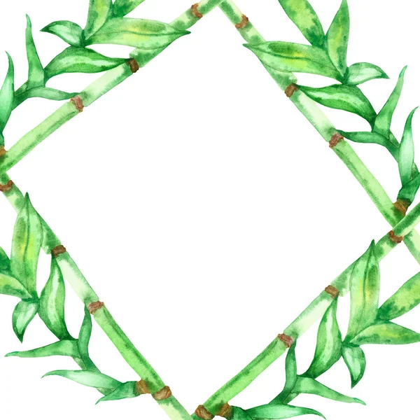 Watercolor Hand Painted Nature Rhomb Tropical Frame Green Bamboo Branches — Stock Photo, Image