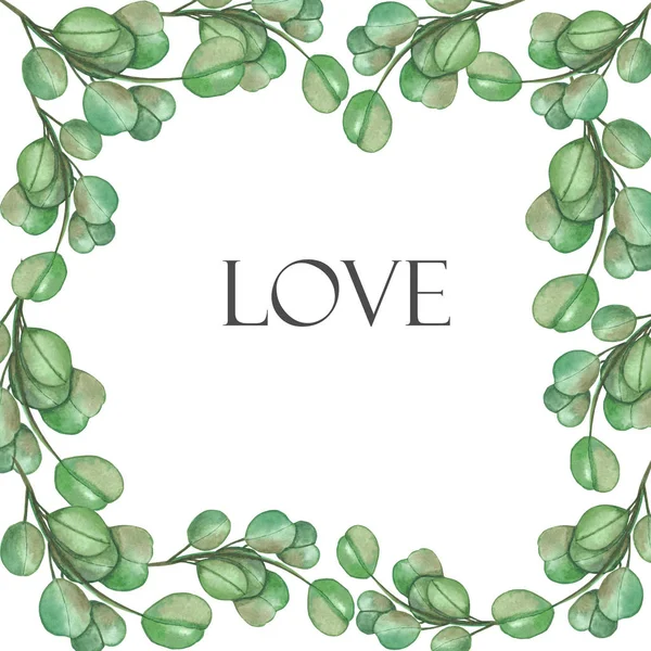 Watercolor Hand Painted Nature Squared Border Frame Green Eucalyptus Leaves — 스톡 사진