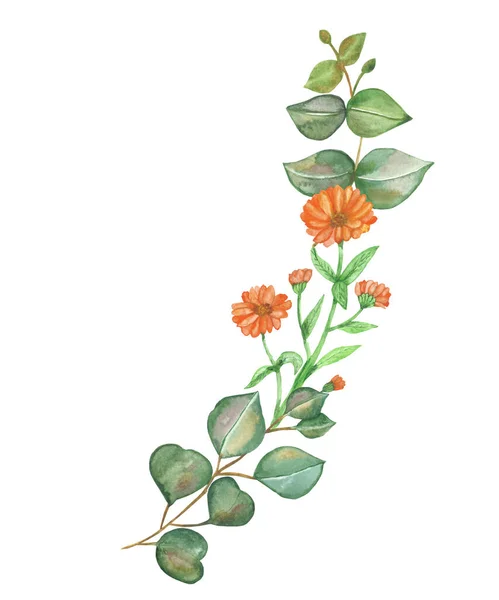 Watercolor Hand Painted Nature Floral Eco Composition Green Eucalyptus Leaves — 스톡 사진