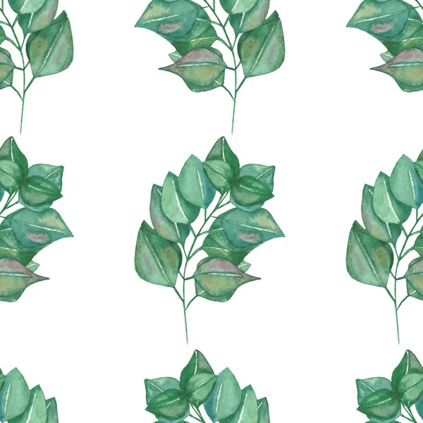 Akwarela Ręcznie Malowane Natura Eko Bezszwowy Wzór Zielonym Eukaliptusa Liści — Zdjęcie stockowe