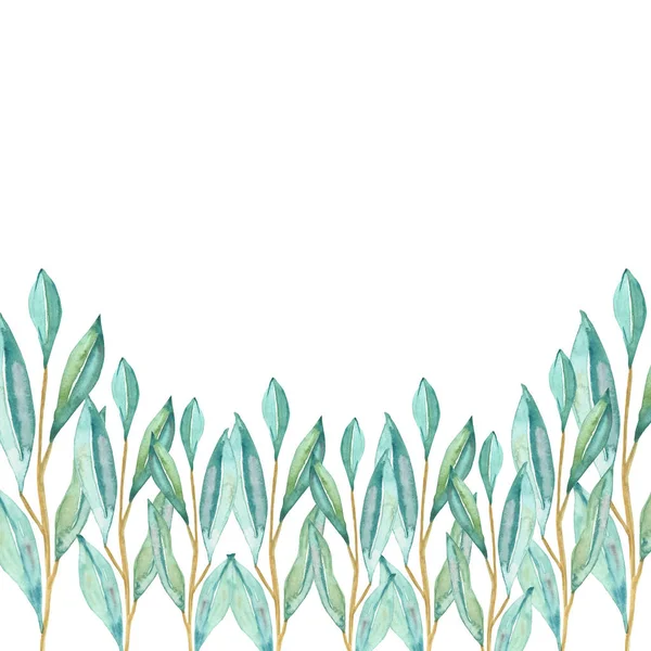 水彩画手绘自然生态绿色构图 绿蓝桉树叶缀在枝条花束线上的白色背景上 用于请柬和问候语 并留有文字空间 — 图库照片