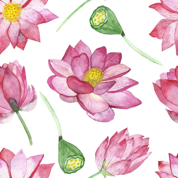Watercolor Hand Painted Nature Floral Asia Seamless Pattern Pink Lotus — 스톡 사진