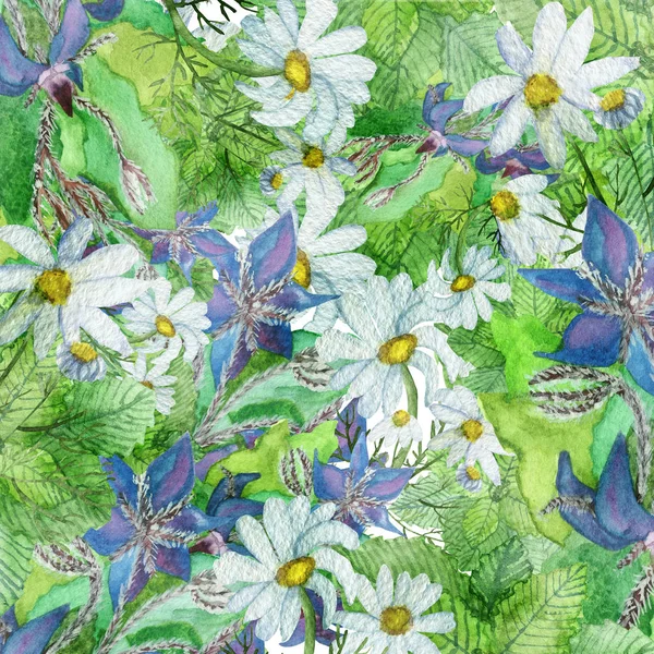 Aquarell Handbemalt Natur Floralen Kräuterhintergrund Textur Mit Lila Borretsch Pflanze — Stockfoto