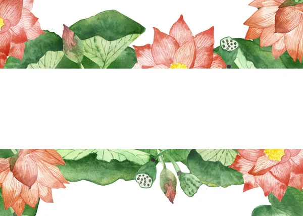 Acuarela Pintada Mano Naturaleza Floral Agua Plantas Banner Con Flores — Foto de Stock