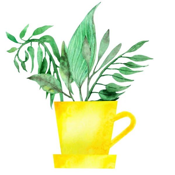 デザイン要素とカードのための白い背景に黄色のカップの花の鍋に枝の花束に緑の異なる葉と水彩手描きの自然家の植物組成物 — ストック写真