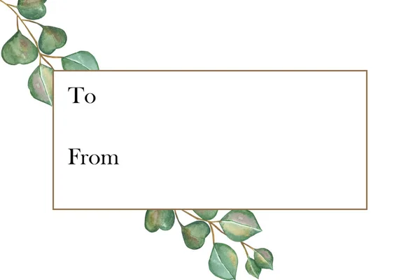 천연색 천연색 에코를 테두리가 가지에 유칼립투스 잎으로 그리고 초대장 카드를 — 스톡 사진