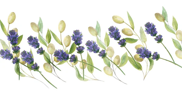 Akvarell Handmålad Natur Blommig Provence Banner Sammansättning Med Lila Blomma — Stockfoto