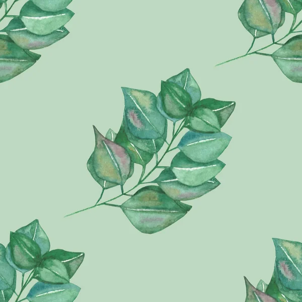 Watercolor hand painted nature greenery seamless pattern with green eucalyptus many leaves on branch isolated on the grey background, trendy eco print for design elements, textile and wallpapers