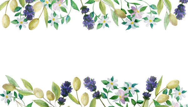 水彩手描きの自然は 招待状やグリーティングカードのための白い背景に紫色のラベンダーの花 緑のオリーブと白のベルガモットの枝との境界バナー組成を証明します — ストック写真