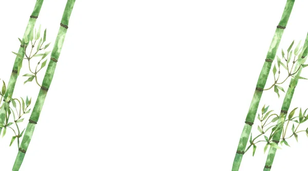 Watercolor hand painted nature eco composition frame with green tropical bamboo branches with leaves on the white background for invitations and greeting cards with the space for text