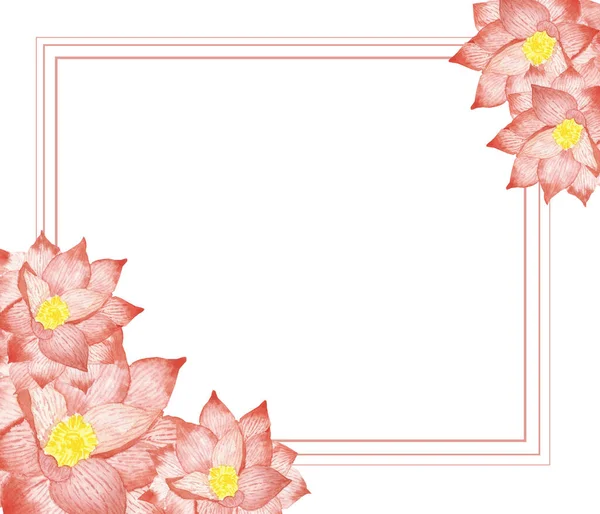 Watercolor hand painted nature floral squared border frame with pink water lotus blossom flowers and lines on the white background for invite and greeting card with the space for text
