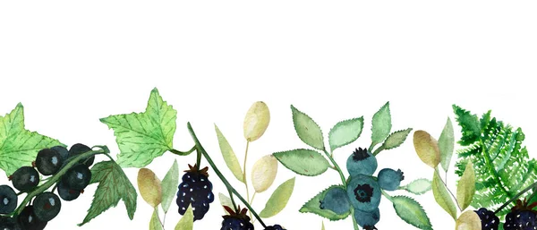 水彩画手绘自然新鲜浆果和绿色横幅组成 白色背景上有蓝莓 橄榄和绿色热带蕨叶 并留有文字空间 — 图库照片