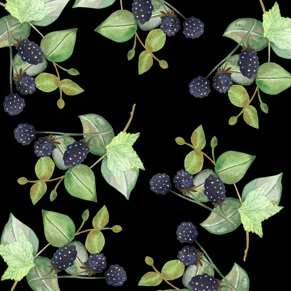 수채화로 자연베리는 녹색으로 유칼립투스 과검은 배경에 보라색 블랙베리 프로방스 프린트가 — 스톡 사진