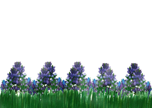 Акварель Ручной Работы Природа Цветочная Композиция Зеленая Трава Фиолетовый Цветок — стоковое фото