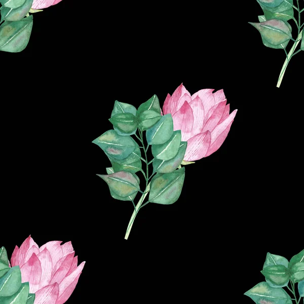 수채화로 자연의 꽃무늬를 수채화 꽃무늬는 분홍색 로터스 유칼립투스 배경에 분리되어 — 스톡 사진