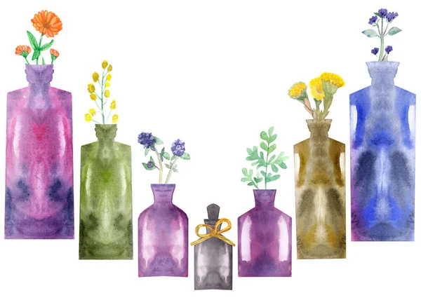 Acquerello Dipinto Mano Natura Composizione Floreale Medica Con Viola Bottiglie — Foto Stock