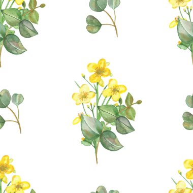 Suluboya el, çiçekli, dikişsiz deseni sarı selandin çiçekleri ve yeşil okaliptüs yaprakları ile beyaz arka planda izole edilmiş dalları boyadı.