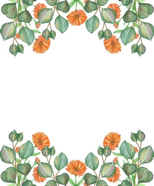 水彩手描き自然ハーブバナーオレンジのカレンデュラの花と緑のユーカリの葉の枝に白い背景に招待状とグリーティングカードのための組成 — ストック写真