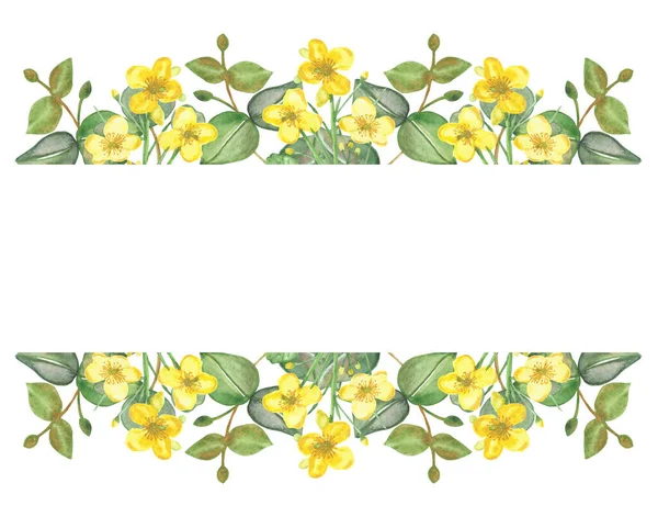 水彩画手绘自然花卉无缝图案 黄花草科西兰花和绿色桉树叶在分枝花束上隔离在白色背景 — 图库照片