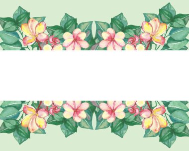 Suluboya el boyama doğa çiçekli kompozisyon pembe plumeria çiçekleri ve yeşil okaliptüs yaprakları beyaz arkaplan üzerinde davet ve metin alanı ile tebrik kartları