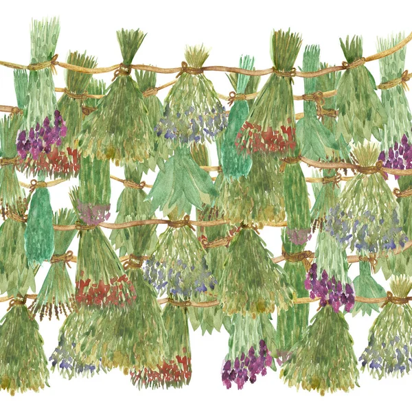 Akvarel Ručně Malované Příroda Zelená Bylinný Jetel Eukalyptus Levandule Arnika — Stock fotografie