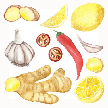 Suluboya el boya doğa sağlıklı bitkisel kompozisyon beyaz sarımsak, zencefil, kırmızı biber, sarı limon baharatları tasarım elementleri için beyaz arka plan koleksiyonu izole