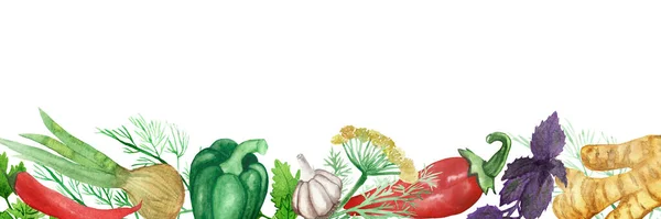 Watercolor hand painted nature herbal health food composition with green and red peppers, garlic, ginger vegetables and basil, dill, bay leaf