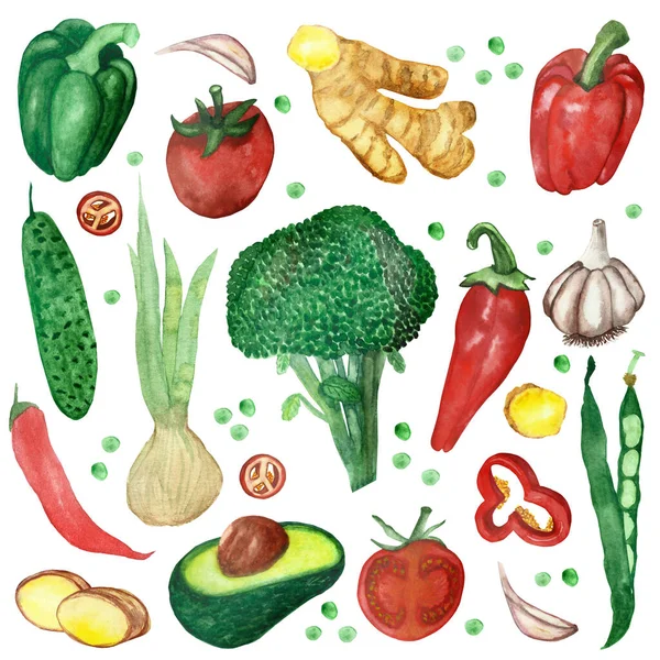 Akvarel Ručně Malované Příroda Zdravé Veganské Jídlo Bylinné Koření Set — Stock fotografie