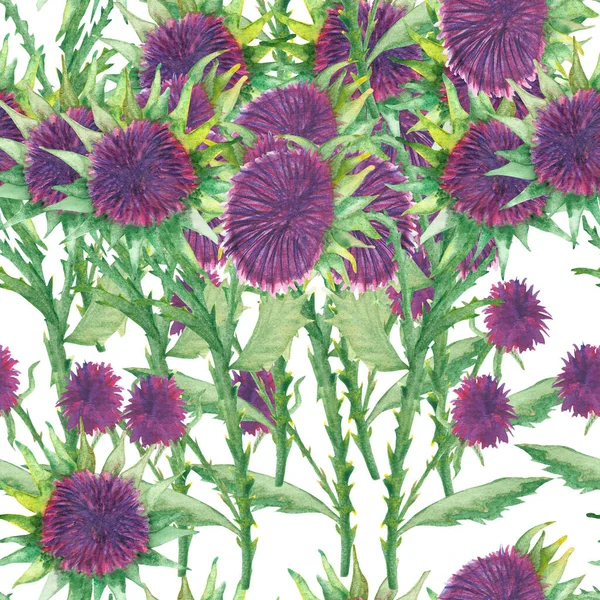 잡초의 패턴을칠 했는데 엉겅퀴 보라색 모양의 꽃무늬 가지에 인쇄를 배경에 — 스톡 사진