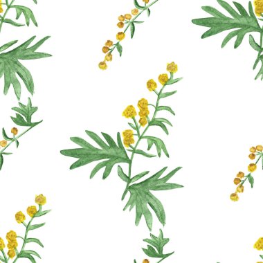 Suluboya el boya doğa bitkisel desen pelin yeşil yapraklar üzerinde pürüzsüz desen ve beyaz arka planda izole sarı çiçekler, tasarım için sağlıklı safra fırçası izi