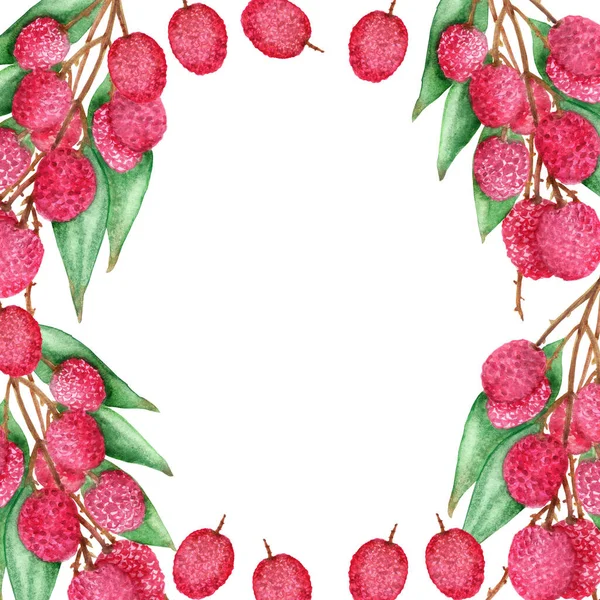 Akvarell Handmålad Natur Fyrkantig Gräns Tropisk Frukt Bärram Med Rosa — Stockfoto