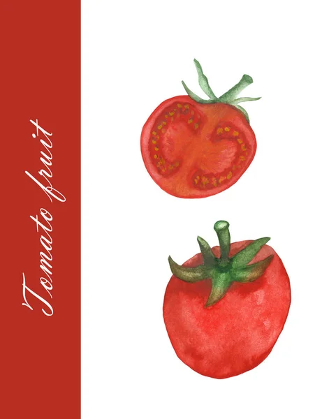 Akvarell Handmålade Natur Vegan Ram Sammansättning Med Röd Tomat Grönsak — Stockfoto
