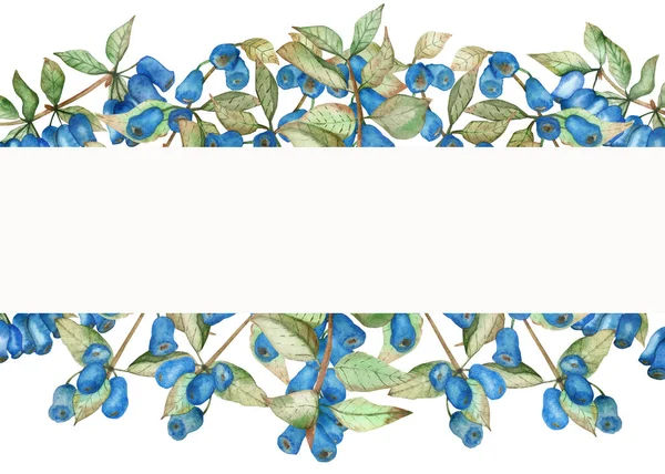 Watercolor hand painted nature banner composition with blue honeysuckle berries and green leaves on branches bouquet on the white background for invite and greeting card with the space for text