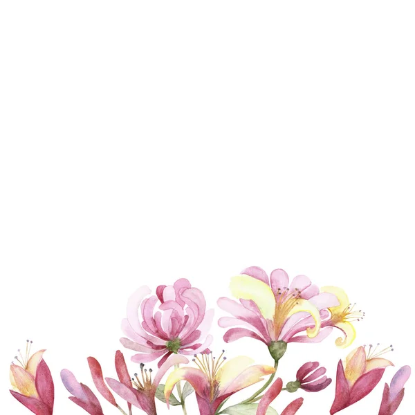 Akvarell Handmålad Natur Blommig Sammansättning Med Rosa Blomma Kaprifol Blommor — Stockfoto