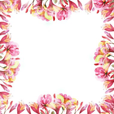 Suluboya el boya doğa çiçek kare çerçeve pembe çiçekli hanımeli çiçek kompozisyonu beyaz arka plan davetiye ve metin için yer ile tebrik kartı