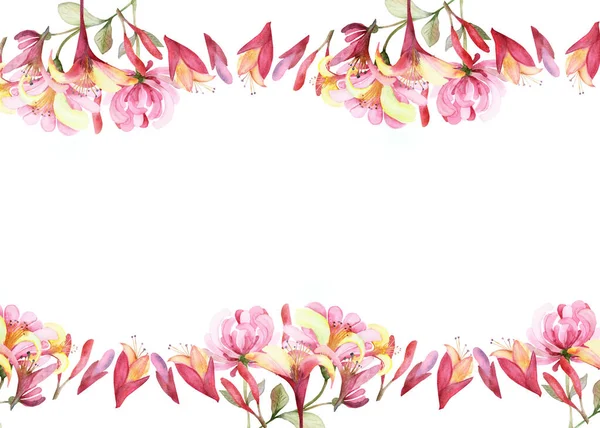 Watercolor Pintado Mão Natureza Floral Banner Frame Com Rosa Flor — Fotografia de Stock