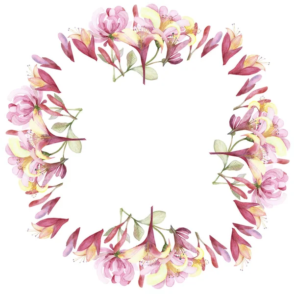 水彩手描き自然花サークルスターボーダーフレームピンクの花スイカズラの花花束白い背景に招待状とテキストのためのスペースとグリーティングカード — ストック写真