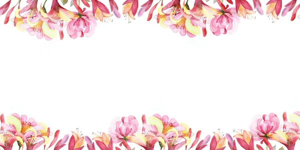 Akvarell Handmålad Natur Blommig Banner Sammansättning Med Rosa Blomma Kaprifol — Stockfoto