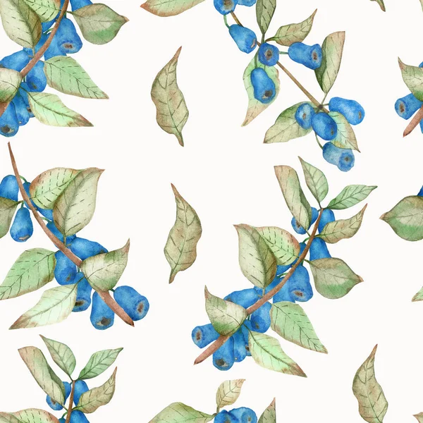 Watercolor hand painted nature garden seamless pattern with honeysuckle blue berries and green leaves on branch isolated on the white background, flora trendy print for design elements
