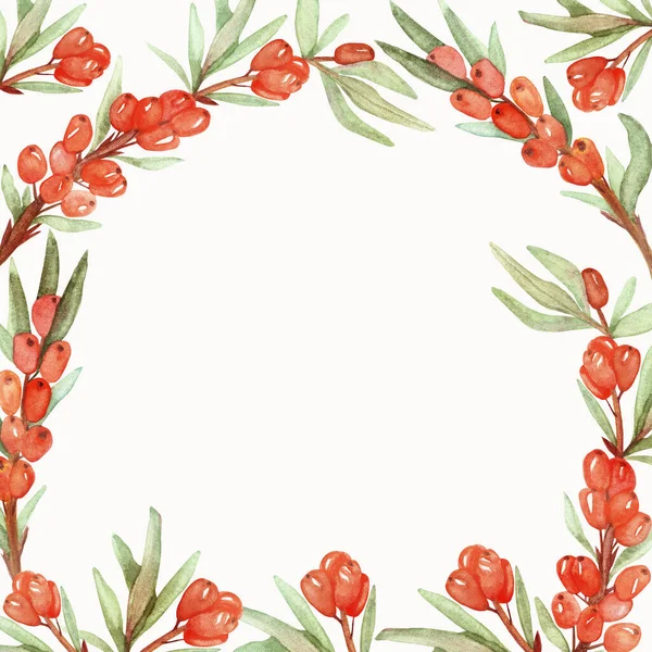 Watercolor hand painted nature healthy squared border frame with orange sea buckthorn berries on branches with green leaves on the white background for invitation and greeting cards