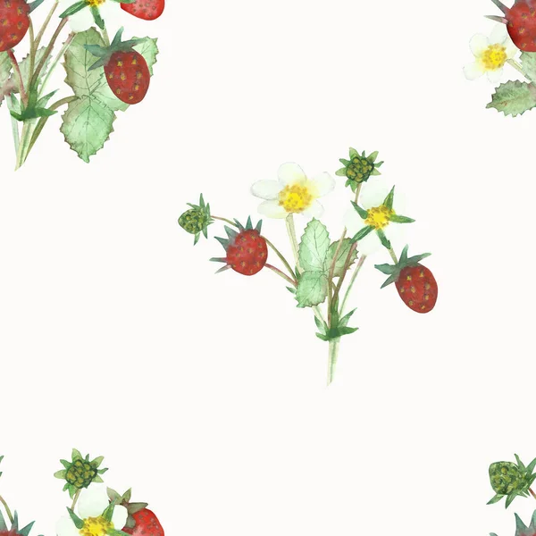 Watercolor hand painted nature forest meadow composition seamless pattern with red wild strawberries, white blossom flowers and green leaves on branches bush isolated on the white background print